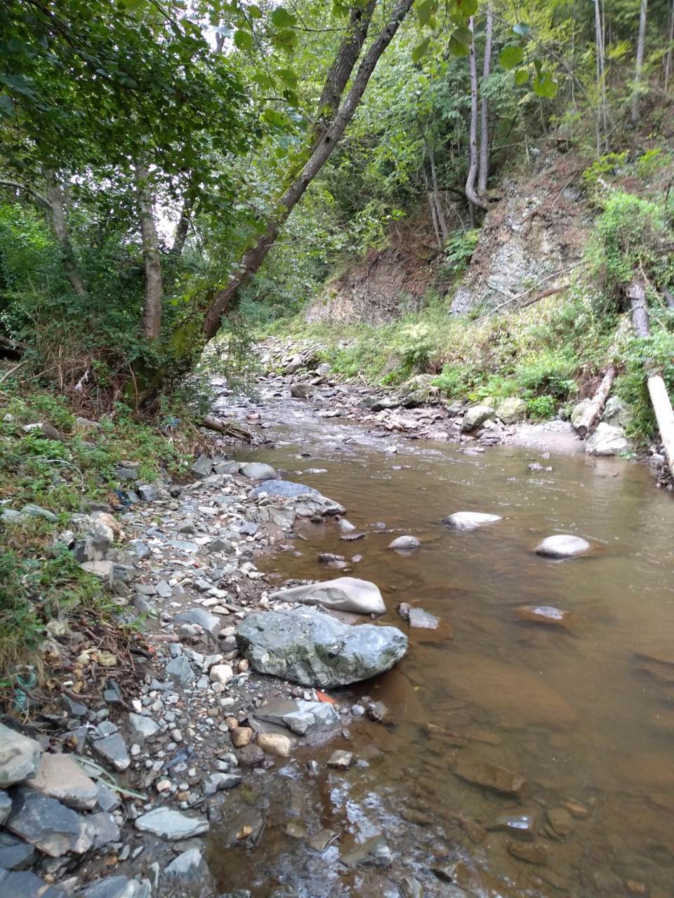 Reka Jošanica ispod vodozahvata MHE Županj